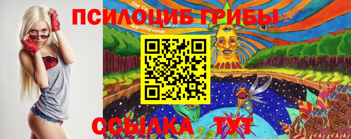 Советская Гавань  Псилоцибиновые грибы GOLDEN TEACHER  Вход с VPN 